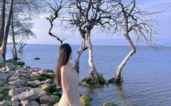 菅谷梨沙子快播